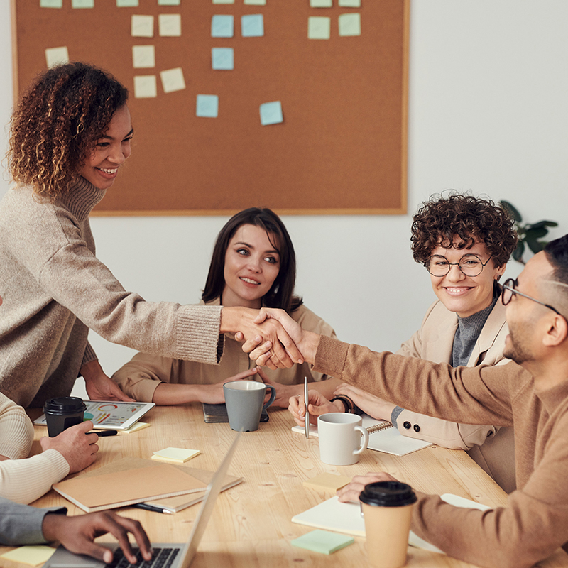 Raison d'être et responsabilité sociale et environnementale (RSE) de l'entreprise