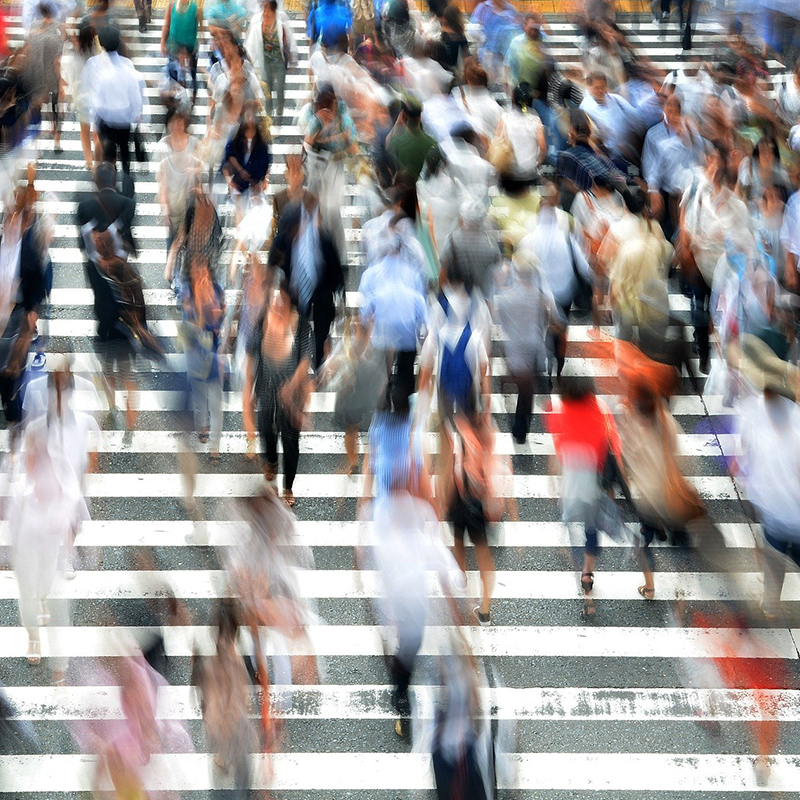 Droit social - contentieux de la sécurité sociale